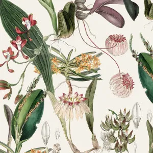 Staying Young Wallpaper by Florabelle Living, a Artwork & Wall Decor for sale on Style Sourcebook