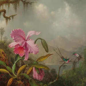 Martinique Wallpaper by Florabelle Living, a Artwork & Wall Decor for sale on Style Sourcebook