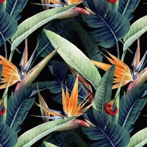Birds of Paradise Wallpaper by Florabelle Living, a Artwork & Wall Decor for sale on Style Sourcebook