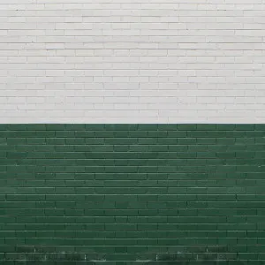 Half and Half Wallpaper by Florabelle Living, a Artwork & Wall Decor for sale on Style Sourcebook