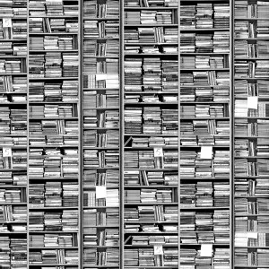 Lost Pages Wallpaper by Florabelle Living, a Artwork & Wall Decor for sale on Style Sourcebook