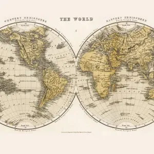Lost World Wallpaper by Florabelle Living, a Artwork & Wall Decor for sale on Style Sourcebook