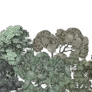 Making a Fuss Wallpaper by Florabelle Living, a Artwork & Wall Decor for sale on Style Sourcebook