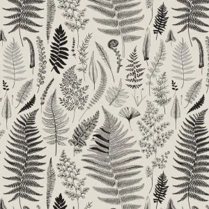 Nature Study Wallpaper by Florabelle Living, a Artwork & Wall Decor for sale on Style Sourcebook