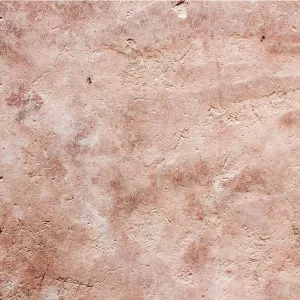 Question Asked Wallpaper by Florabelle Living, a Artwork & Wall Decor for sale on Style Sourcebook