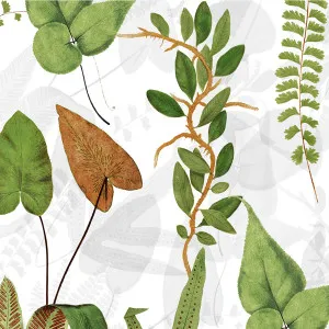Shes A Botanist Wallpaper by Florabelle Living, a Artwork & Wall Decor for sale on Style Sourcebook