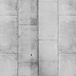 Solid Surroundings Wallpaper by Florabelle Living, a Artwork & Wall Decor for sale on Style Sourcebook