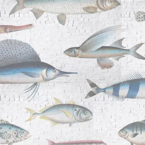 Swimming Upstream Wallpaper by Florabelle Living, a Artwork & Wall Decor for sale on Style Sourcebook