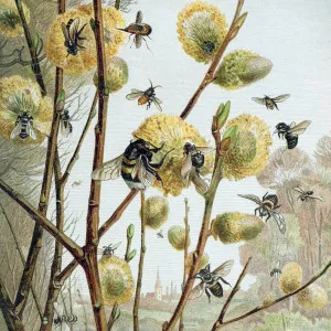 Taking Flight Wallpaper by Florabelle Living, a Artwork & Wall Decor for sale on Style Sourcebook