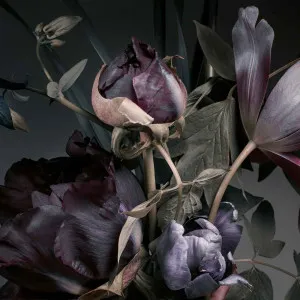 Blissful Wallpaper by Florabelle Living, a Artwork & Wall Decor for sale on Style Sourcebook