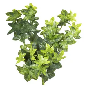 Ivy Bush Real Touch 80cm by Florabelle Living, a Plants for sale on Style Sourcebook