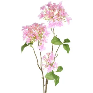 Hydrangea Spray 70cm Pink by Florabelle Living, a Plants for sale on Style Sourcebook