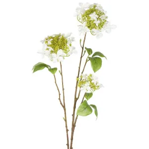 Hydrangea Spray 70cm White by Florabelle Living, a Plants for sale on Style Sourcebook