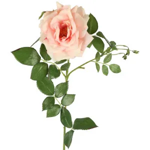 Chelsea Rose Stem 97cm Light Pink by Florabelle Living, a Plants for sale on Style Sourcebook