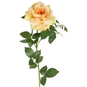 Chelsea Rose Stem 97cm Yellow by Florabelle Living, a Plants for sale on Style Sourcebook
