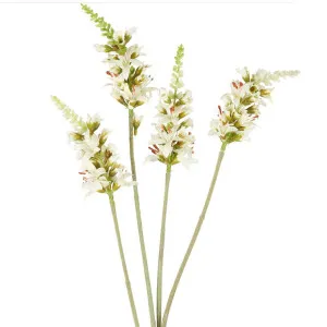 Salvia Nutans Sage Spray 84cm Cream by Florabelle Living, a Plants for sale on Style Sourcebook