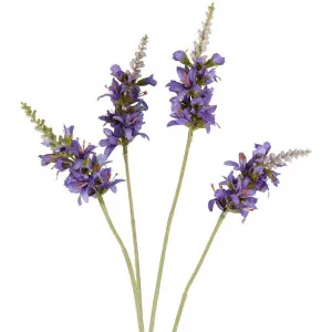 Salvia Nutans Sage Spray 84cm Lavender by Florabelle Living, a Plants for sale on Style Sourcebook