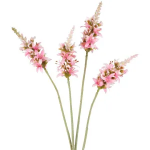 Salvia Nutans Sage Spray 84cm Pink by Florabelle Living, a Plants for sale on Style Sourcebook