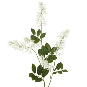 Wisteria Spray 103cm Cream by Florabelle Living, a Plants for sale on Style Sourcebook