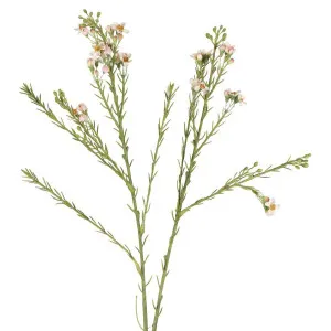 Wax Flower Spray 84cm White by Florabelle Living, a Plants for sale on Style Sourcebook