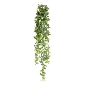 Leaf Hanging Greenery 1.03m by Florabelle Living, a Plants for sale on Style Sourcebook
