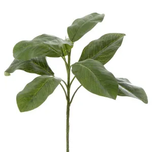 Leaf Spray 60cm by Florabelle Living, a Plants for sale on Style Sourcebook