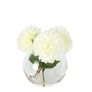 White Dahlia Delight Arrangement by Florabelle Living, a Plants for sale on Style Sourcebook