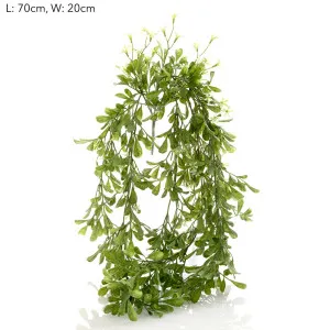 Boxwood Vine Hanging 70cm White by Florabelle Living, a Plants for sale on Style Sourcebook