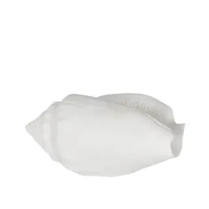 Shore White Sea Snail 20X11X9CM by OneWorld Collection, a Decor for sale on Style Sourcebook
