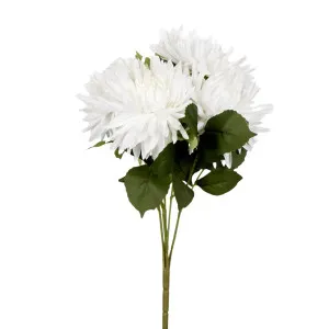 White Mum Bush x 5 46cm by OneWorld Collection, a Plants for sale on Style Sourcebook