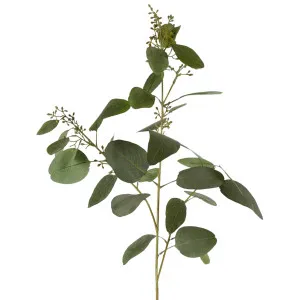 Eucalyptus Seed Spray With 20 Leaves Grey & Green by OneWorld Collection, a Plants for sale on Style Sourcebook