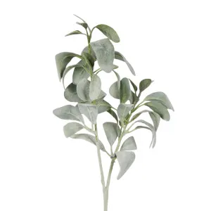 Lambs Ear 71CM Green by OneWorld Collection, a Plants for sale on Style Sourcebook