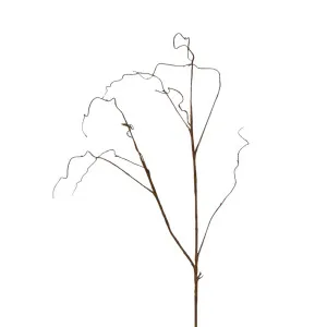 Brown Twig by OneWorld Collection, a Plants for sale on Style Sourcebook