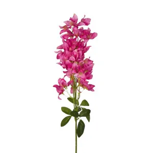 83cm Purple Bougainvillea Branch by OneWorld Collection, a Plants for sale on Style Sourcebook