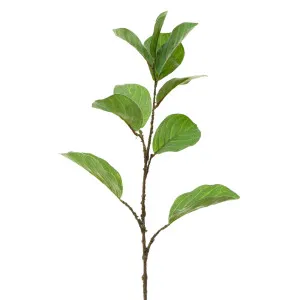 Leaf Ficus Spray 86cm Green by OneWorld Collection, a Plants for sale on Style Sourcebook