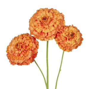 Marigold Spray Orange by OneWorld Collection, a Plants for sale on Style Sourcebook