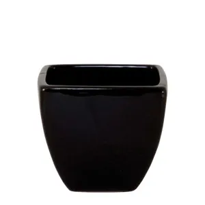 Pot Square - Black by OneWorld Collection, a Decor for sale on Style Sourcebook