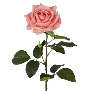 Belle Real Touch Rose Stem 65cm Pink by OneWorld Collection, a Plants for sale on Style Sourcebook