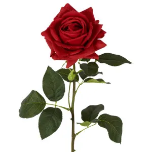 Belle Real Touch Rose Stem 65cm Red by OneWorld Collection, a Plants for sale on Style Sourcebook