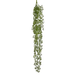 Real Touch Senecio Vine 73cm by OneWorld Collection, a Plants for sale on Style Sourcebook