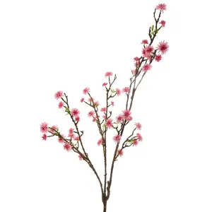 Cherry Blossom 1.45m Pink by OneWorld Collection, a Plants for sale on Style Sourcebook