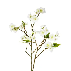 Blossom Spray 78cm White by OneWorld Collection, a Plants for sale on Style Sourcebook