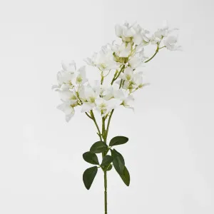 83cm White Bougainvillea Branch by OneWorld Collection, a Plants for sale on Style Sourcebook