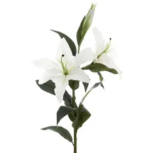 Casablanca Lily 90cm White by OneWorld Collection, a Plants for sale on Style Sourcebook