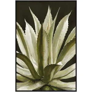 Agave Wall Art by OneWorld Collection, a Artwork & Wall Decor for sale on Style Sourcebook