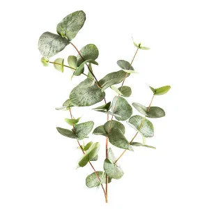 Eucalyptus Spray Mixed Sized Leaves 87cm by OneWorld Collection, a Plants for sale on Style Sourcebook