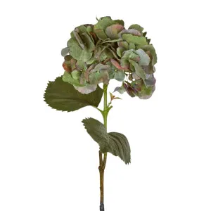 Hydrangea Large Green Stem With Leaves 75cm by OneWorld Collection, a Plants for sale on Style Sourcebook