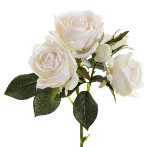 Rose Short Stem Two Buds 40cm Cream by OneWorld Collection, a Plants for sale on Style Sourcebook