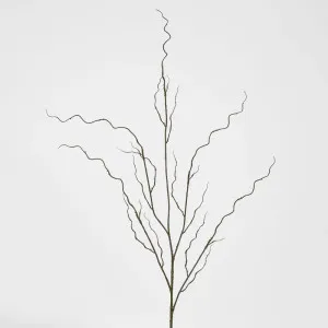 Curly Twig by OneWorld Collection, a Plants for sale on Style Sourcebook