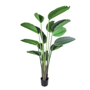Bird of Paradise 1.8m by OneWorld Collection, a Plants for sale on Style Sourcebook